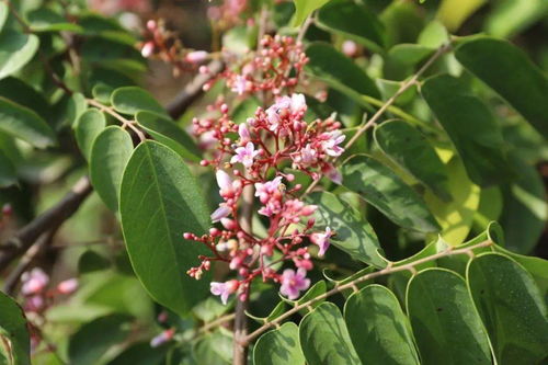 遇見(jiàn)陽(yáng)光 東區(qū)田園農(nóng)莊，一場(chǎng)與光的詩(shī)意對(duì)話